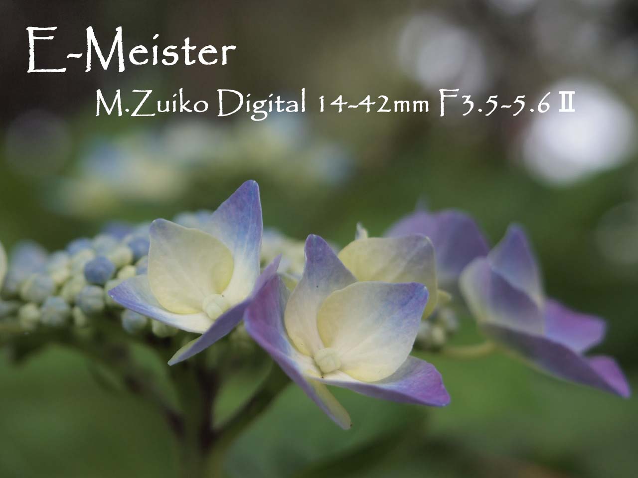 マクロコンバーターレンズ: E-meister（＋ OM SYSTEM）